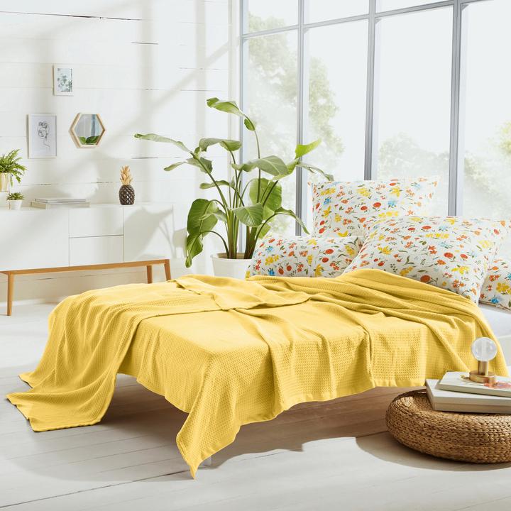 Immagine prodotto Erwin Müller Coperta estiva (100 x 150 cm)