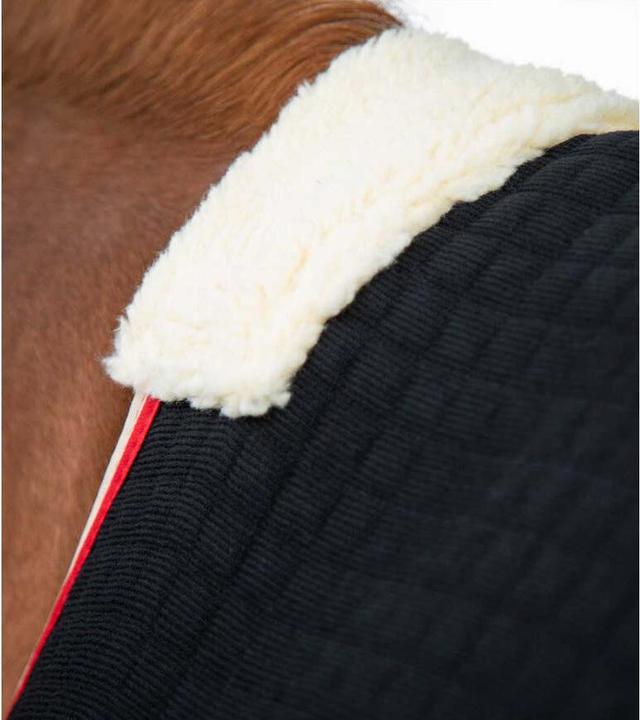 Immagine prodotto Premier Equine Premtex (191 cm)