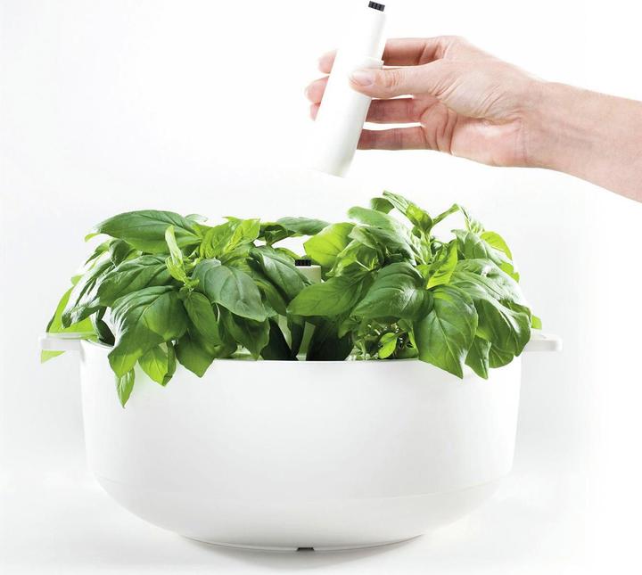 Immagine prodotto Plantui Elemento intermedio