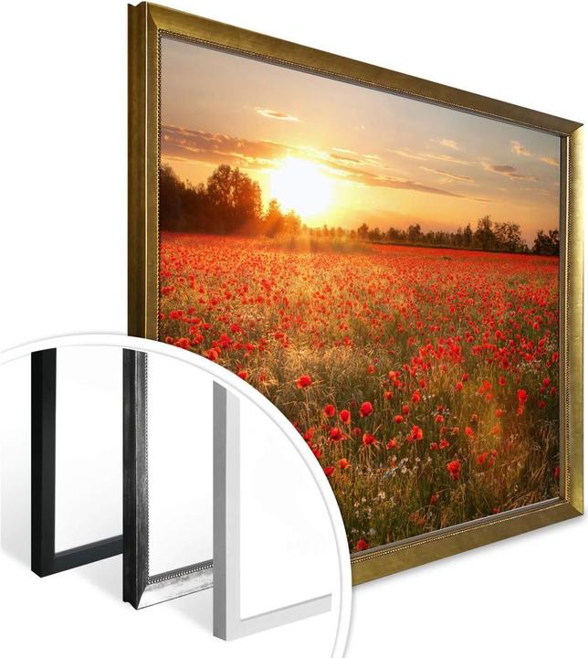 Immagine prodotto Trenddeko Campo di papaveri al tramonto (40 x 50 cm)