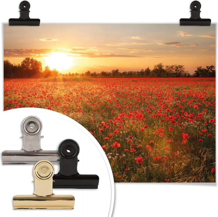 Immagine prodotto Trenddeko Campo di papaveri al tramonto (40 x 50 cm)