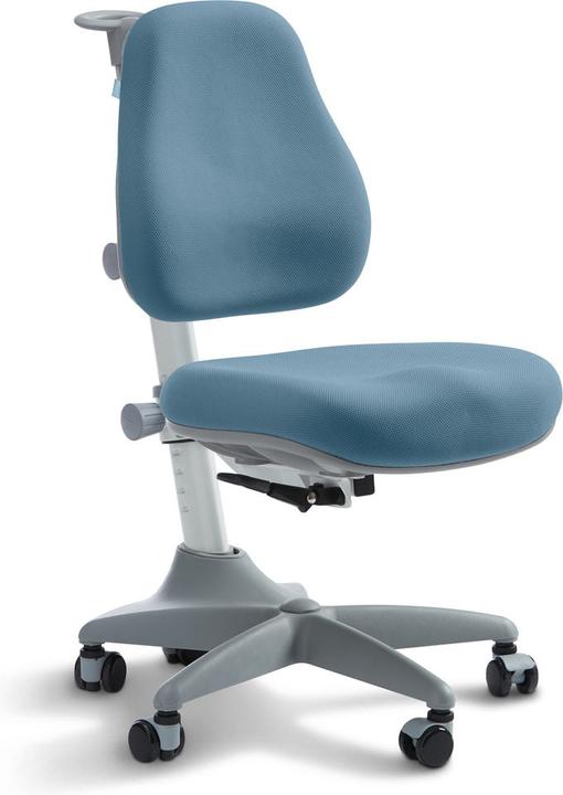 Actual product image Flexa Chair Verto Frosty