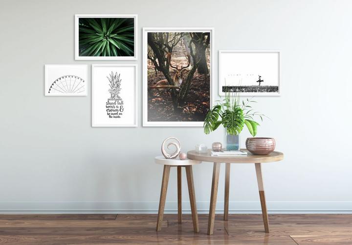 Actual product image Trenddeko Break in the forest (24 x 30 cm)