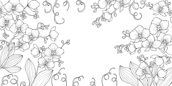 Produktbild Ausmalbuch - Florale Motive