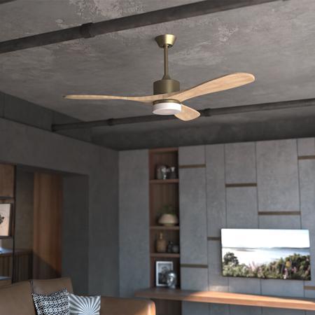 Actual product image Cecotec Energysilence Aero 5290 Golden Pro