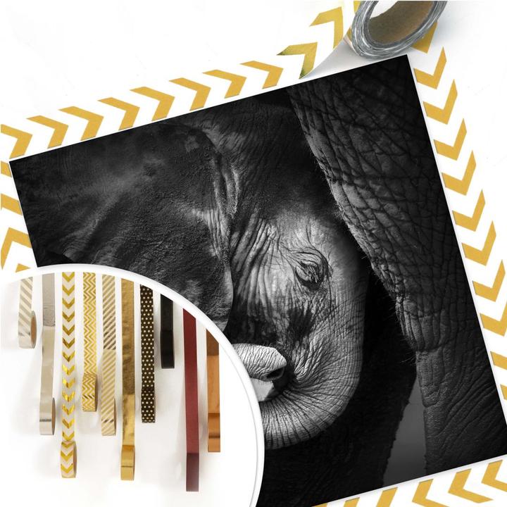 Image du produit Trenddeko Le bébé éléphant (100 x 100 cm)