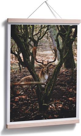 Actual product image Trenddeko Break in the forest (24 x 30 cm)