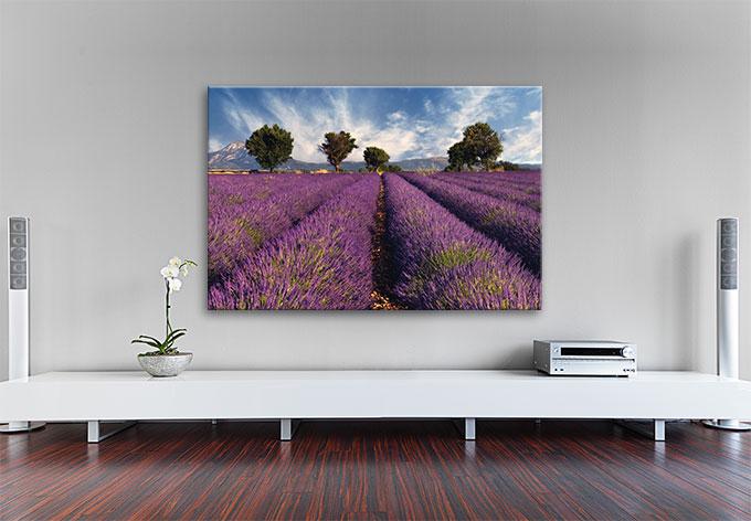 Produktbild Trenddeko Lavendelfeld (60 x 40 cm)