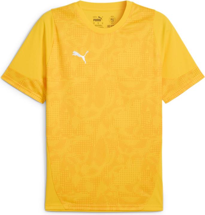 fasteryellowpumasilveryellowsizzle