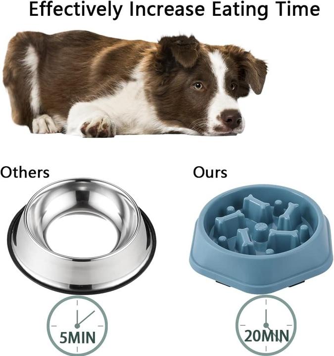 Image du produit Out of the blue Écuelle pour chien anti-échec Slow Feeder