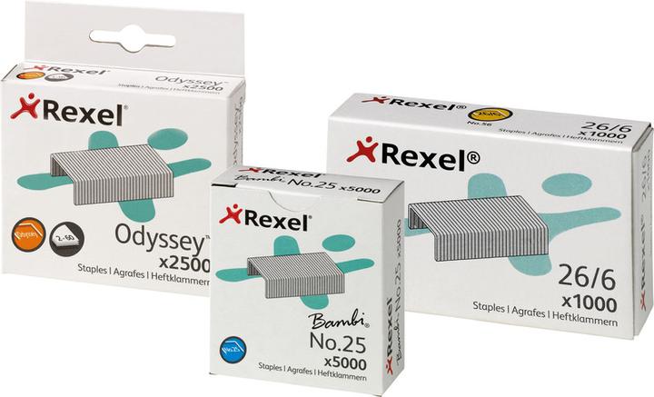 Image du produit Rexel Agrafes (2500 x)
