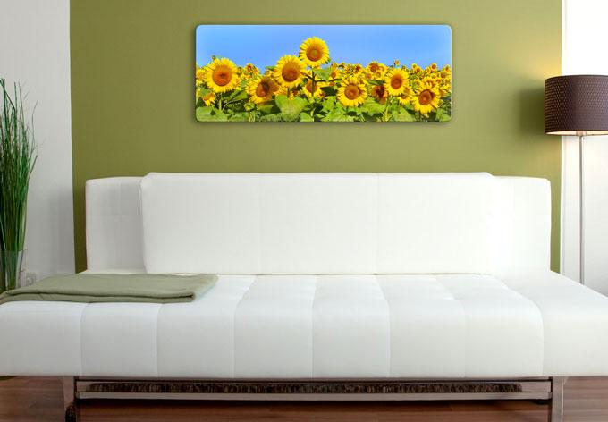Image du produit Trenddeko Champ de tournesol - Panorama (120 x 50 cm)