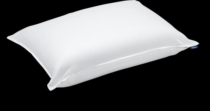 bico Oreiller BodySoft (50 x 70 x 15/19 cm)
