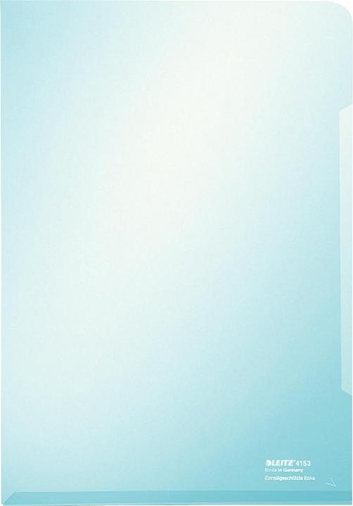 Actual product image Leitz Premium A4 View Sleeve (A4, 100 x)