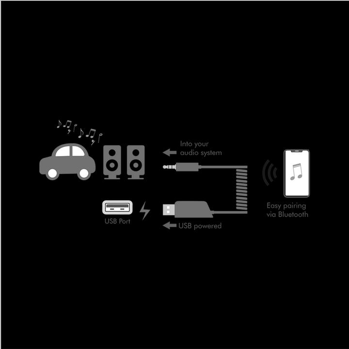 Actual product image LogiLink BT0065 (Transmitter & Receiver)