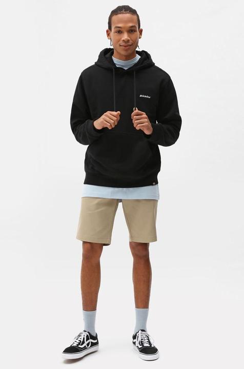 Image du produit Dickies Duck Carpenter Short Sw Desert Sand (32)