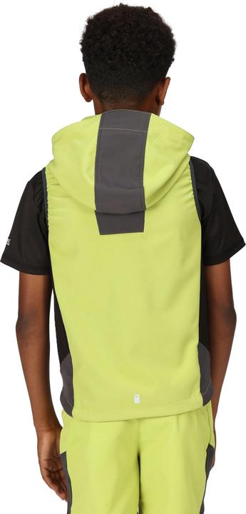 Image du produit Regatta - Veste sans manches ACIDITY - Enfant (116)