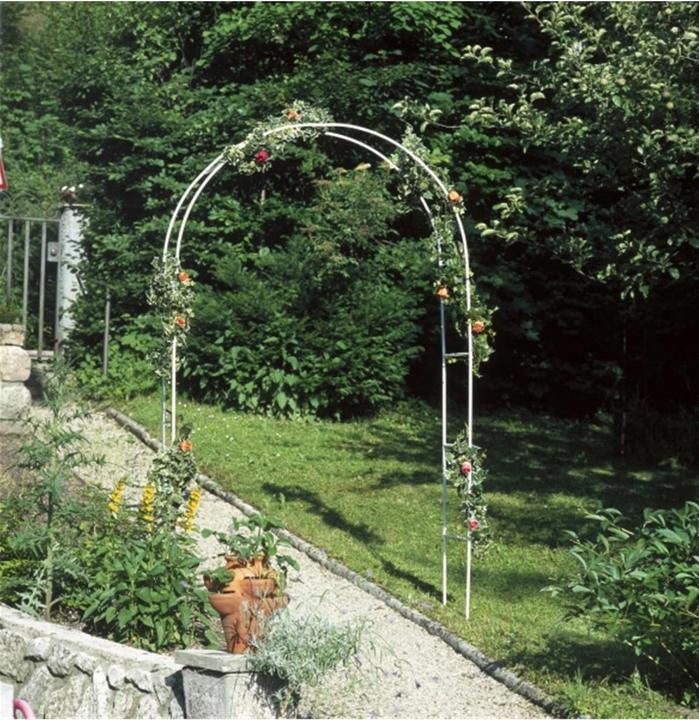 Produktbild Windhager Rosenbogen (37 cm, 140 cm)
