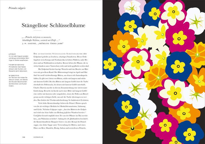 Immagine prodotto Herbarium (Tedesco, Caz Hildebrand, 2019)