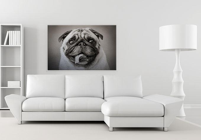 Actual product image Trenddeko Lovable pug (60 x 40 cm)