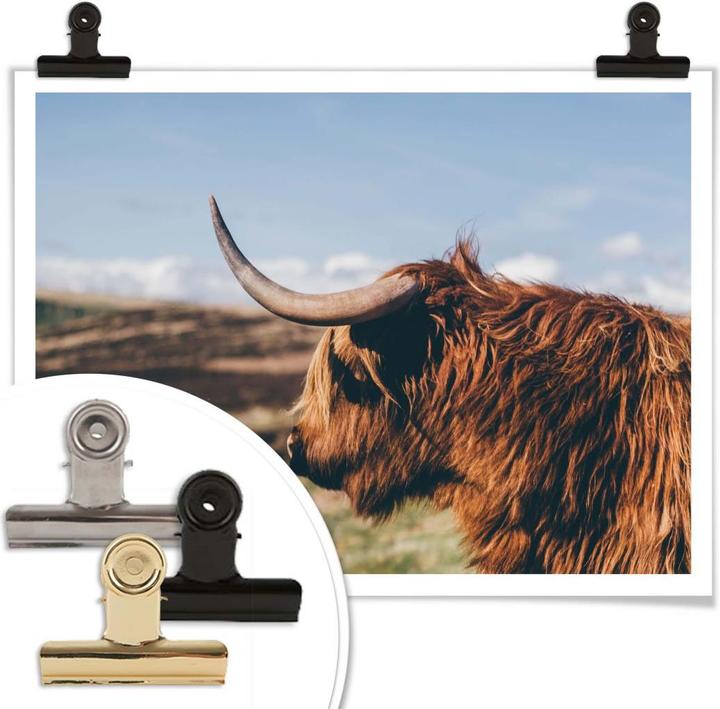 Immagine prodotto Trenddeko Mucca d'altopiano 02 (60 x 50 cm)