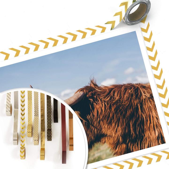 Immagine prodotto Trenddeko Mucca d'altopiano 02 (60 x 50 cm)