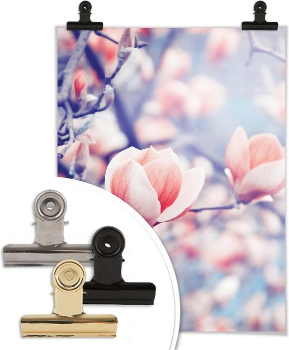 Image du produit Trenddeko Bourgeon de magnolia (40 x 50 cm)
