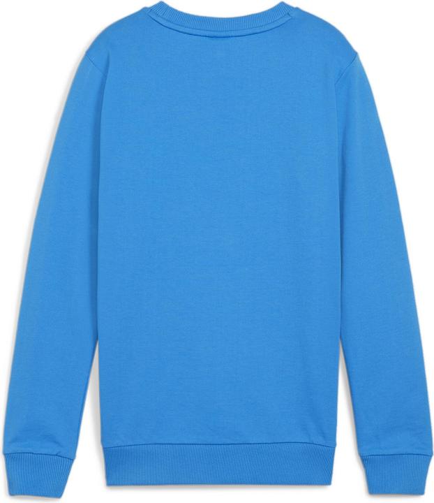 Actual product image Puma teamGOAL Casuals Crew Neck Sweat Jr (164)