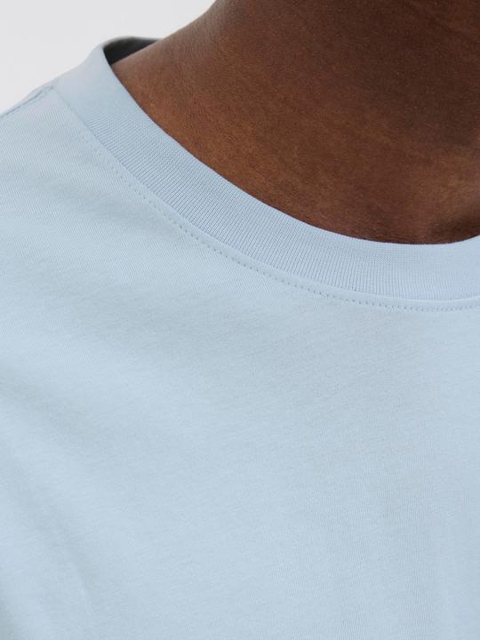 Actual product image Jack & Jones Jorvesterbro Tee Ss Crew Neck Noos (L)
