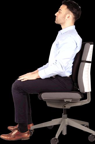 Image du produit Fellowes Support dorsal Professonal Series