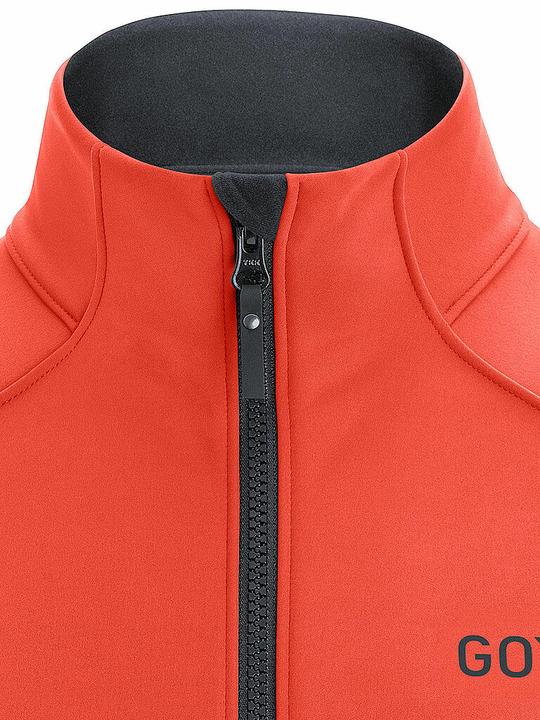 Immagine prodotto Gore Wear C3 Gore-Tex Infinium (L)