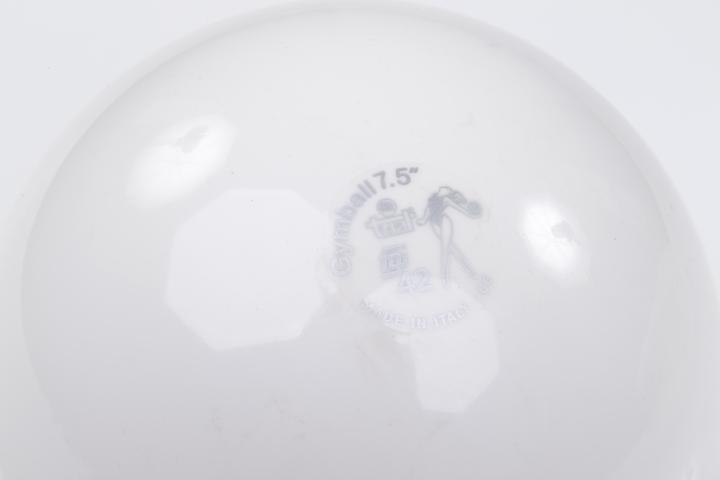 Produktbild Trial ® Gymnastikball (19.05 cm)