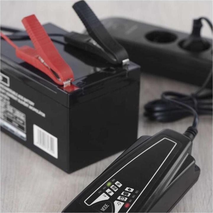 Image du produit Emos INTELIGENTNÃ NABÃJEÄOE OLOV. (SLA) BATERIÃ /12V-4A (12V, 6V, 4 A)