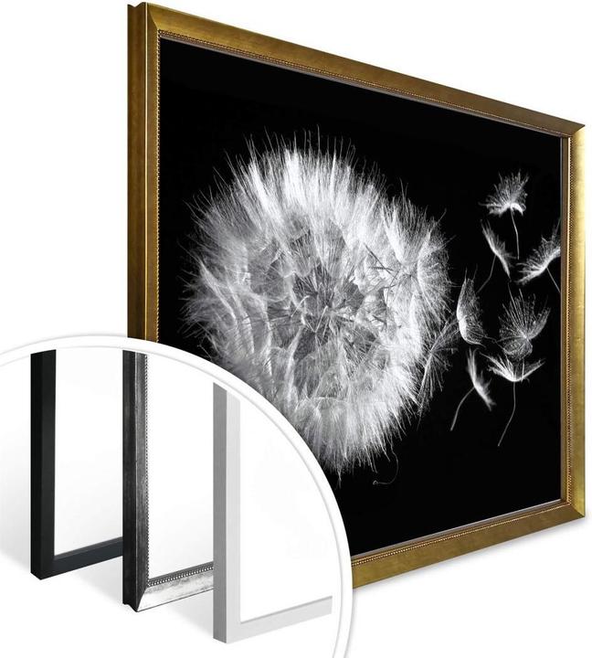 Immagine prodotto Trenddeko Poster Dandelion 100 x 80 cm, Carta (100 x 80 cm)