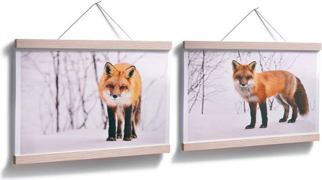 Actual product image Trenddeko Fox in the snow - 2 parts (80 x 60 cm)