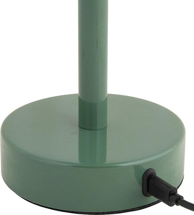 Actual product image Leitmotiv LED Tischlampe JAMES Iron Shine Jungle