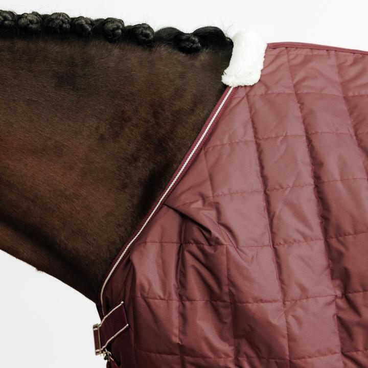 Actual product image Fouganza Combo (165 cm)