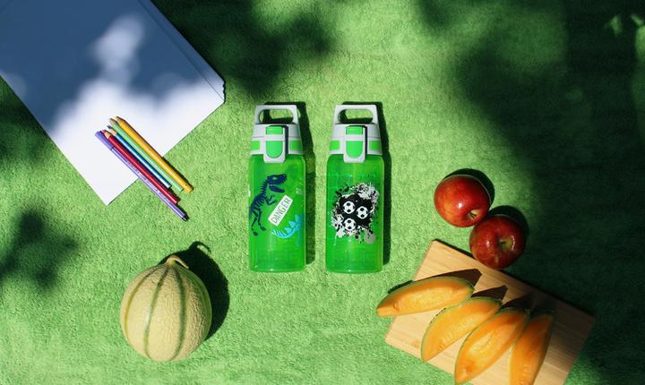 Image du produit Sigg Viva One (0.50 l)