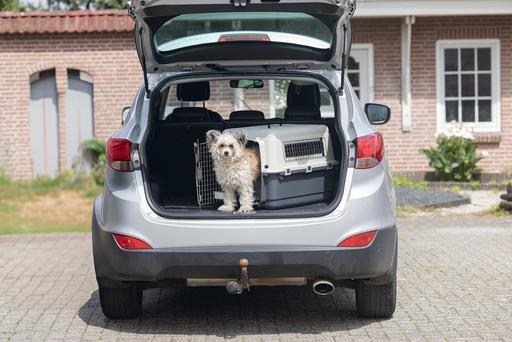 Image du produit Karlie Boîte de transport nomade (Chien, Chat, Verrouillable)