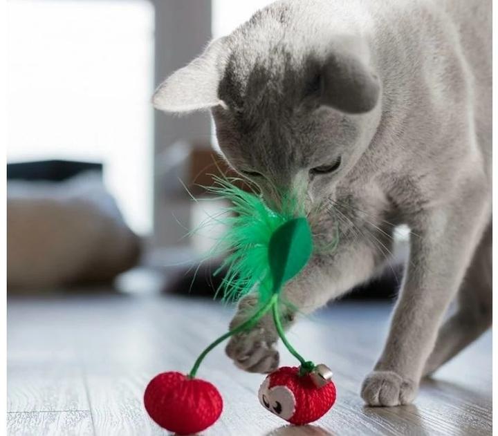 Actual product image Petstages Cat Toy Dental Cherries, Red (Catmint toy)