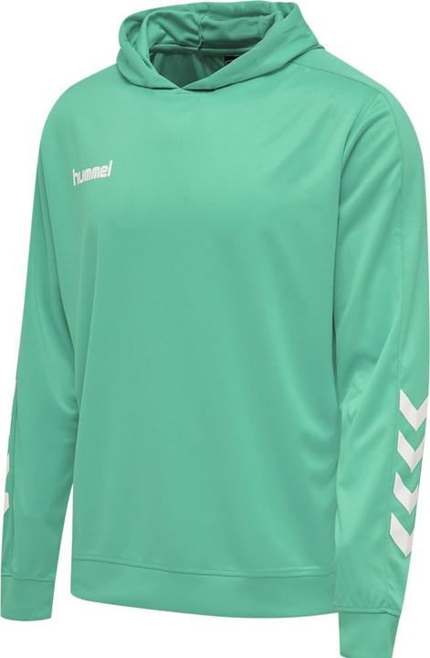 Actual product image hummel Promo Kids Poly Hoodie (140)