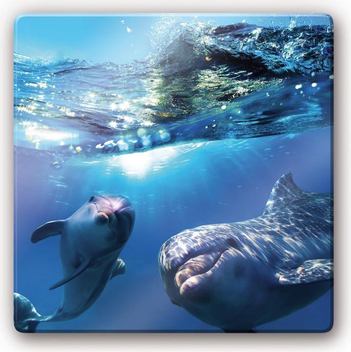 Image du produit Trenddeko Dauphins sous l'eau (20 x 20 cm)