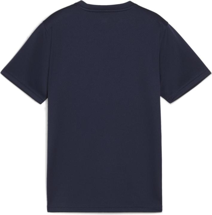 pumanavypumawhitepersianblue