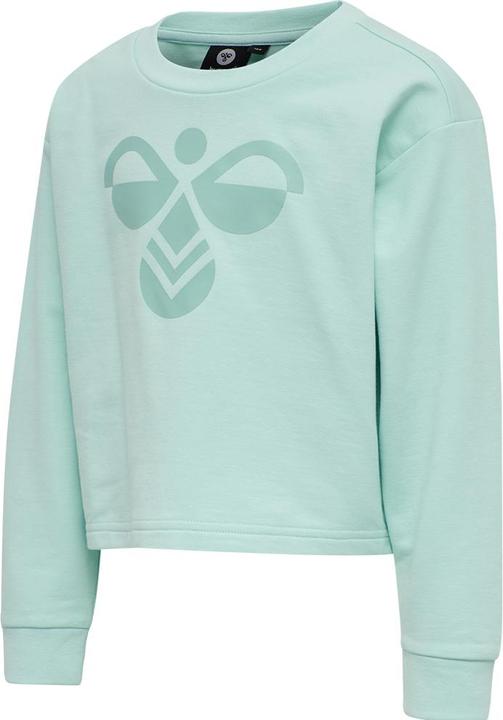 Actual product image hummel Cinco Sweatshirt (116)