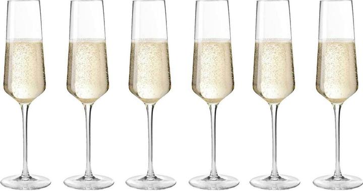 Leonardo Puccini (28 cl, 6 Occhiali, Bicchieri da champagne)