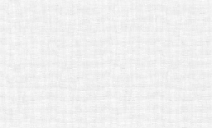 Produktbild Architects Paper Pigment ECO Weiss, überstreichbar 11 (106 x 2500 cm)