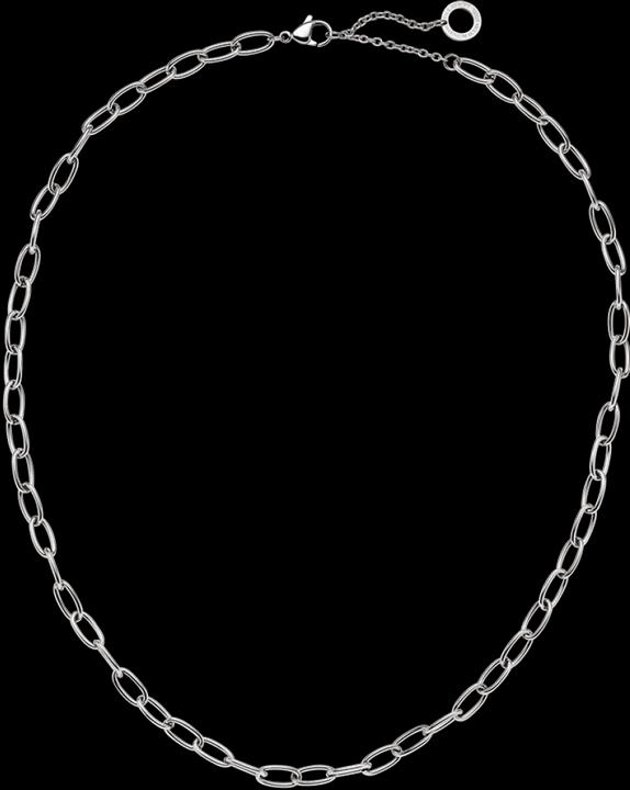 Image du produit Paul Hewitt PH-JE-0443 (Acier inoxydable, Recyclé, 45 - 50 cm)