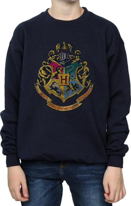 Jungen Hogwarts Häuser Sweatshirt aus Baumwolle (128)