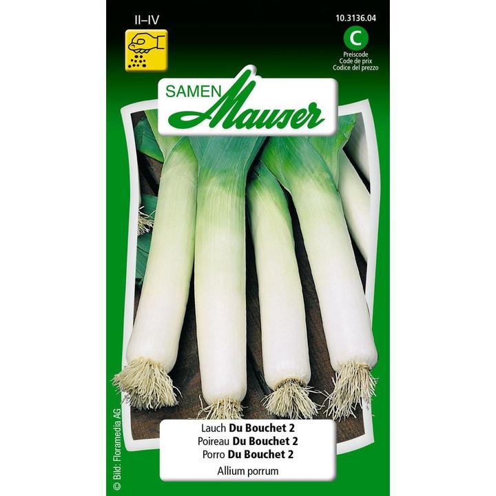 Produktbild Samen Mauser Lauch Du Bouchet 2 (Blumenzwiebel)