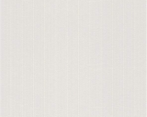 Produktbild A.S. Création Meistervlies Pro Protect 2 Weiss, überstreichbar 43 (53 x 1005 cm)
